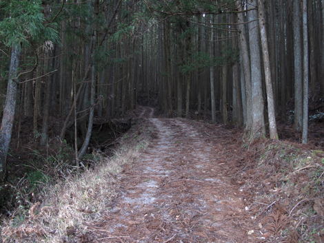 20140105hike (260)